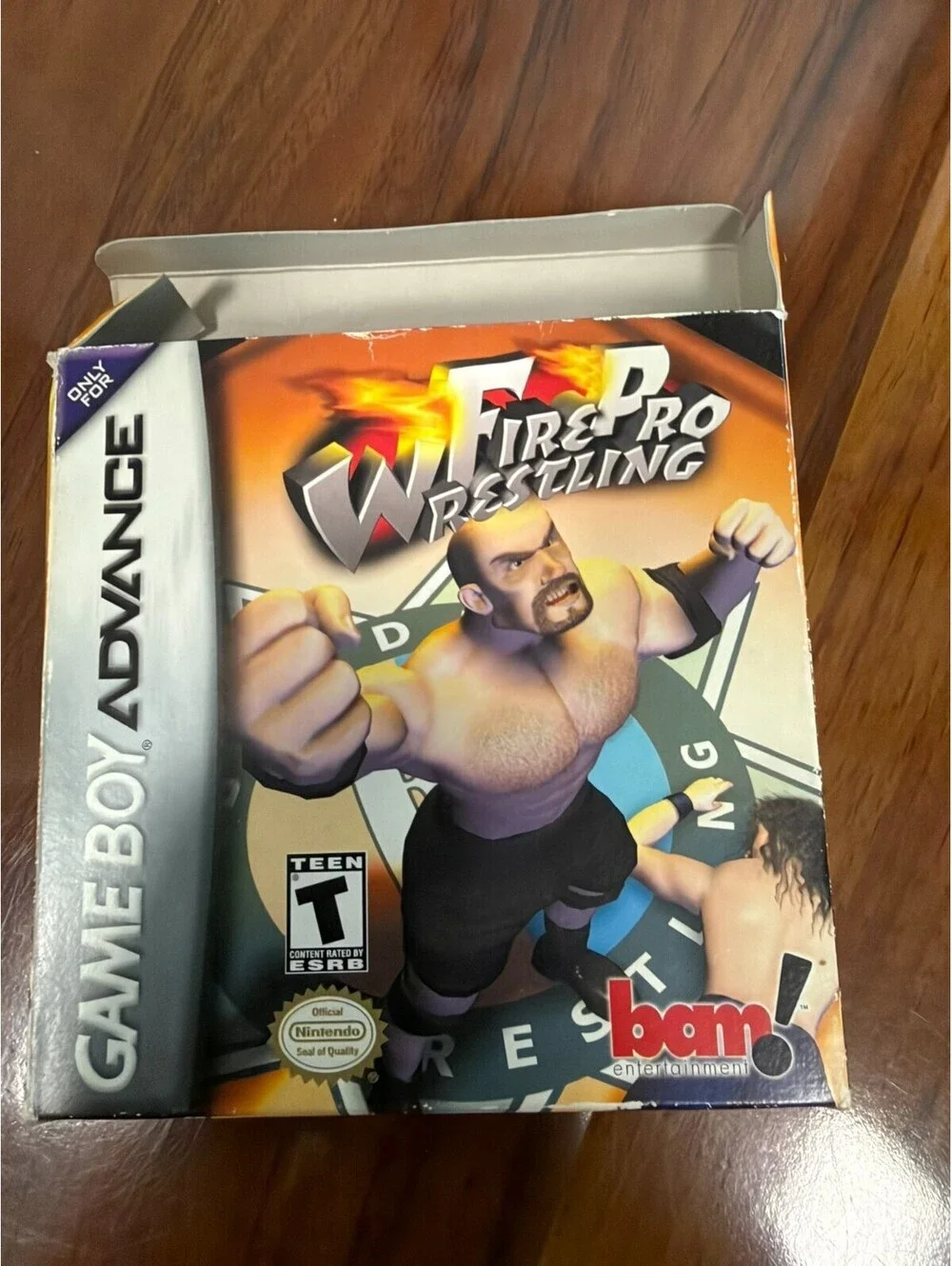 Fire Pro Wrestling Nintendo GameBoy Advance GBA Complete Box CIB Fair Shape